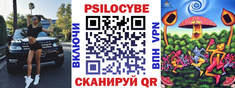 Галлюциногенные грибы Psilocybe  Купить закладки  Лесозаводск 