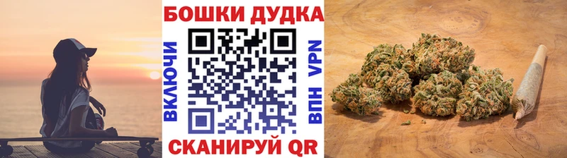 Конопля индика  Купить закладки  Лесозаводск 